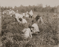 farm workers Picture