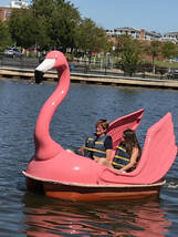 Asbury Park Swan Boat Picture